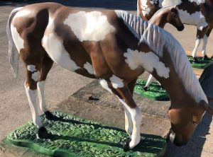 Grazing Paint Horse