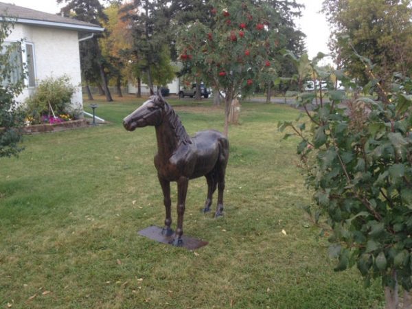 medium horse aluminum statue in backyard