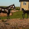 medium horse with foal in grass aluminum statue