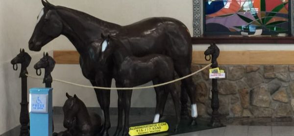 quarter horse aluminum statue in museum enclosed